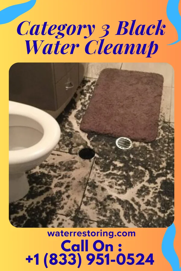 Category 3 Black Water Cleanup in Grosse Pointe Farms, MI